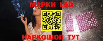 гидропоника Пугачёв