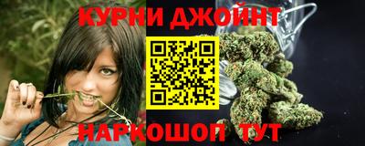 гидропоника Пугачёв