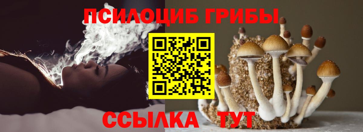 Галлюциногенные грибы Cubensis  Галлюциногенные грибы Psilocybine cubensis  Белебей  Вход с VPN 